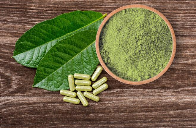 What is Kratom? - Day N Night | CBD, Kratom, Nootropic, Vape, Smoke, Head Shop